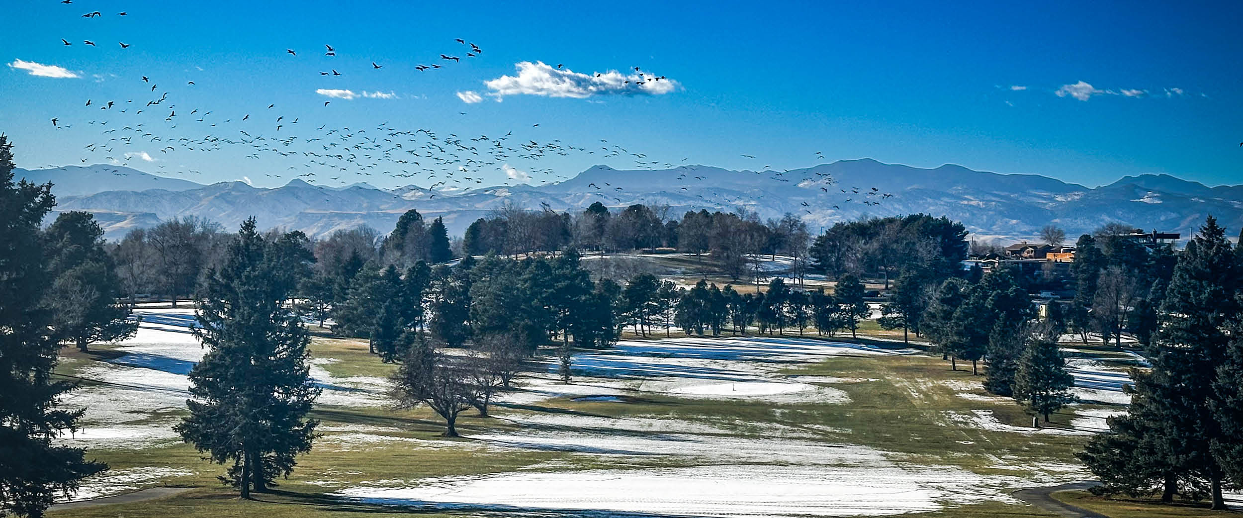 Current Course Conditions