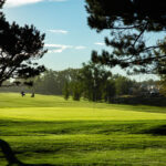 Hole #12 Green in the Morning