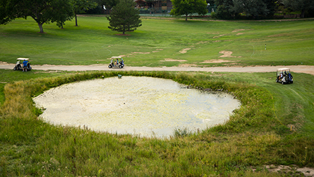 Pond from 6-21-17